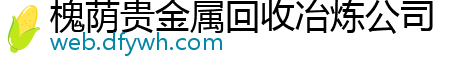 槐荫贵金属回收冶炼公司