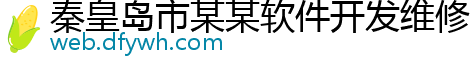 秦皇岛市某某软件开发维修网点